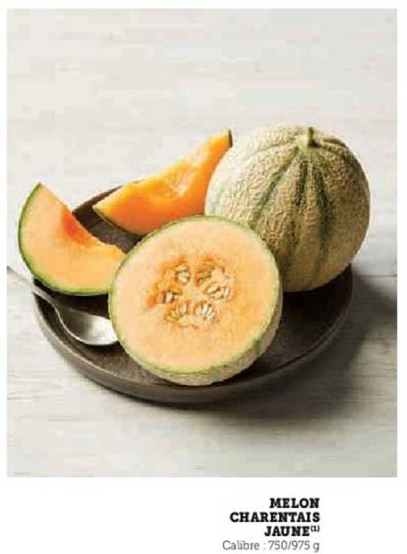 MELON CHARANTAIS JAUNE