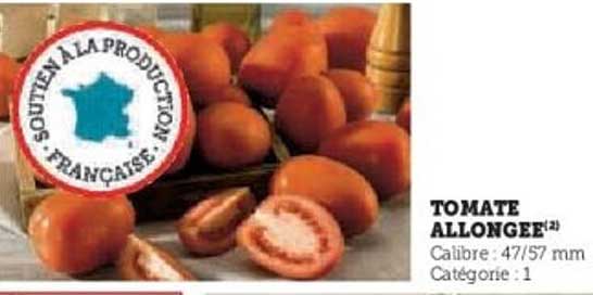 TOMATE ALLONGEE