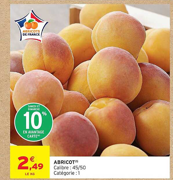 ABRICOT(1)