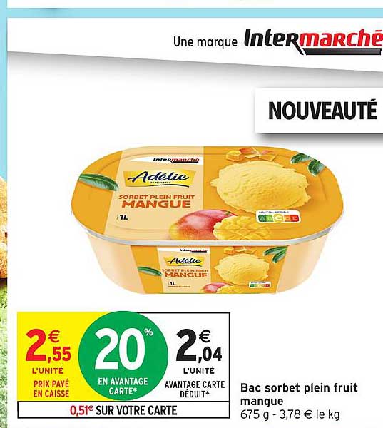 Bac sorbet plein fruit mangue