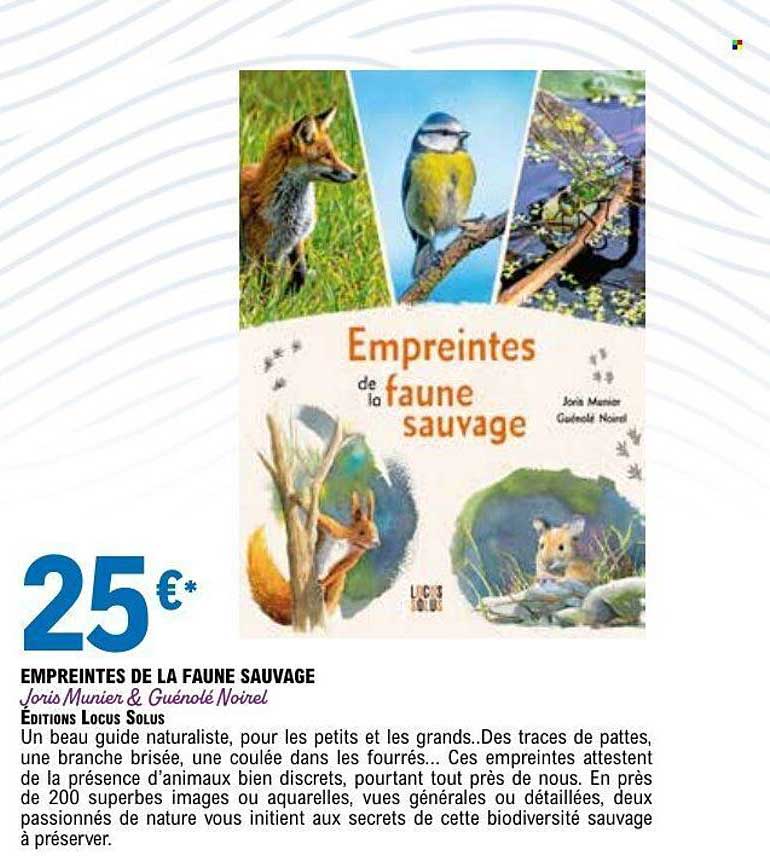 EMPREINTES DE LA FAUNE SAUVAGE