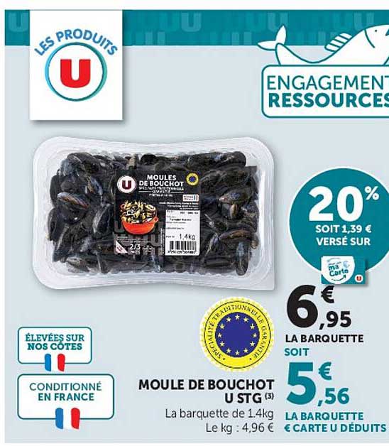 MOULE DE BOUCHOT U STG (3)