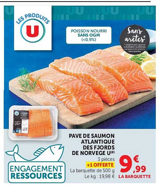 PAVE DE SAUMON ATLANTIQUE DES FJORDS DE NORVEGE U(8) 3 pièces +1 OFFERTE