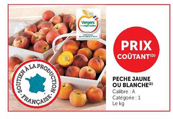 PECHE JAUNE OU BLANCHE(2)