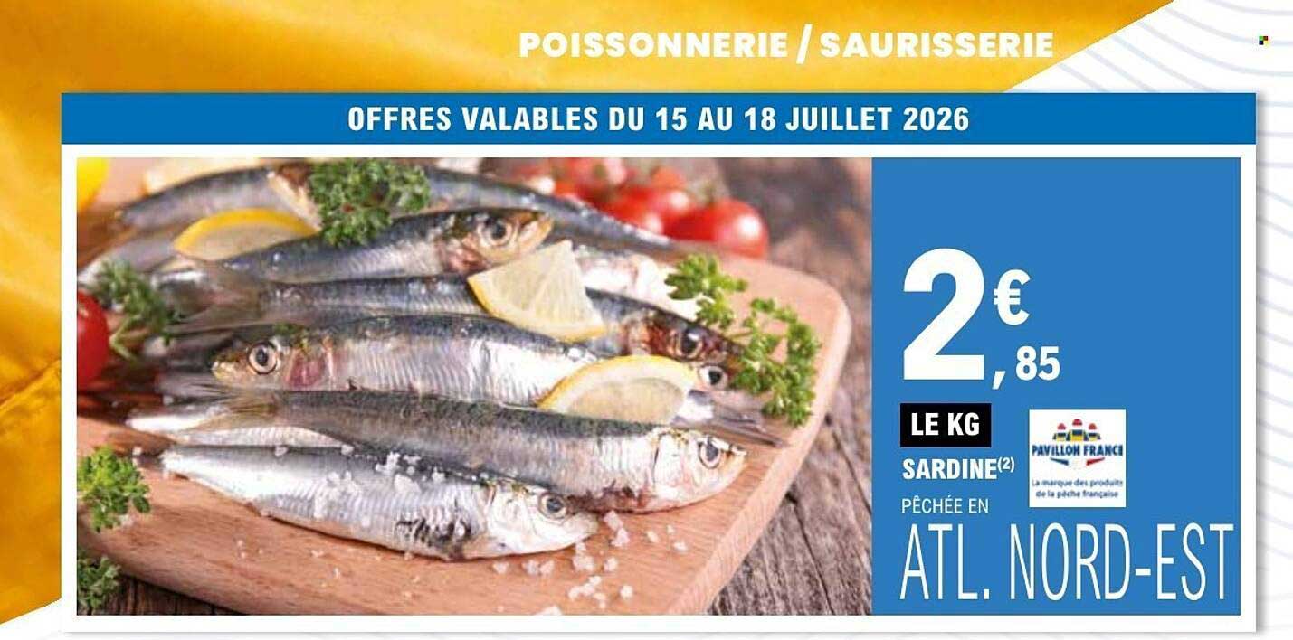 SARDINE(2) PÊCHÉE EN ATL. NORD-EST