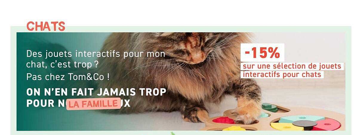 -15% sur une sélection de jouets interactifs pour chats