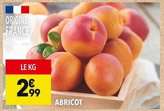 ABRICOT