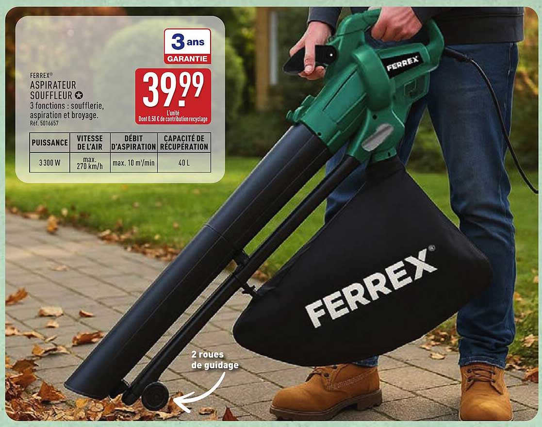 Aspirateur Souffleur Ferrex