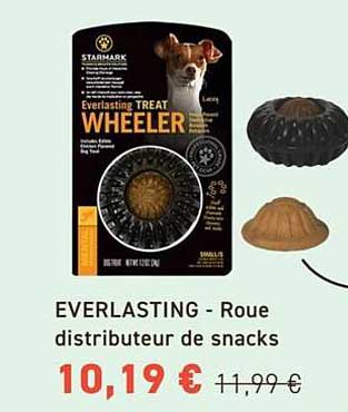 EVERLASTING - Roue distributeur de snacks