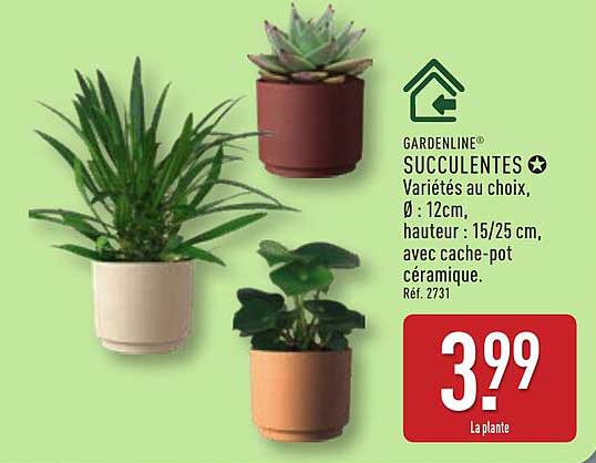 GARDENLINE® SUCCULENTES