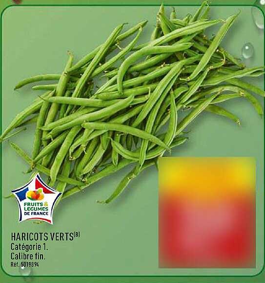 HARICOTS VERTS®