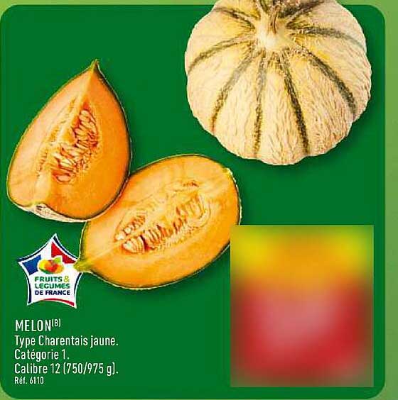 MELON Type Charentais jaune.