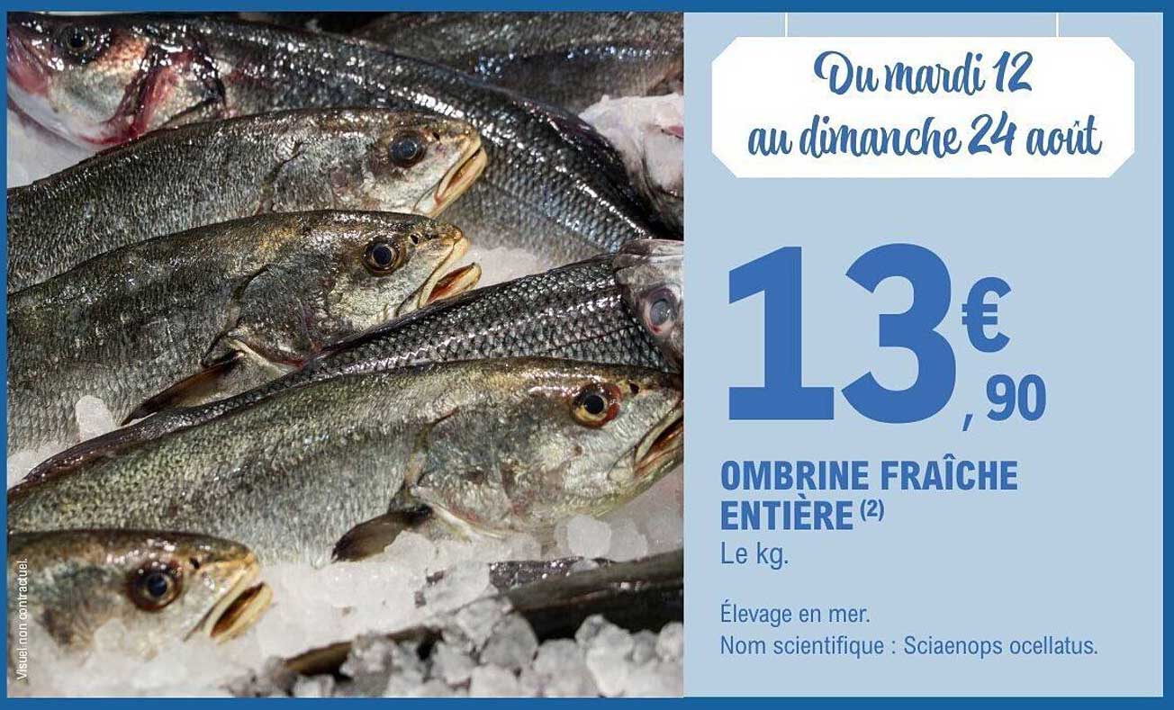 OMBRE FINE FRAÎCHE ENTIÈRE
