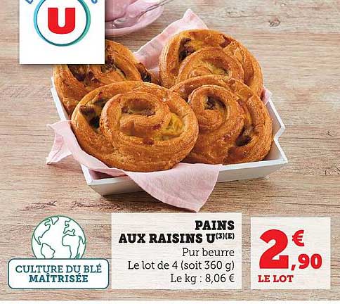 PAINS AUX RAISINS U(3)(E)