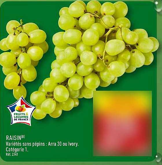RAISIN ® Variétés sans pépins : Arra 30 ou Ivory.