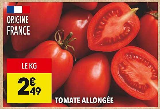 TOMATE ALLONGÉE