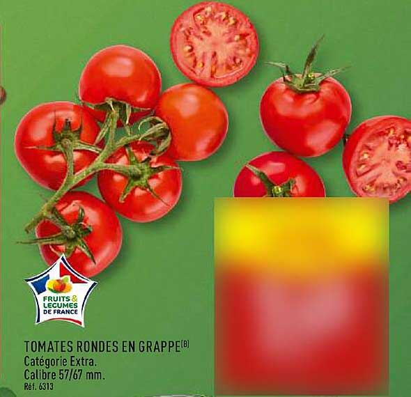 TOMATES RONDES EN GRAPPE(B)