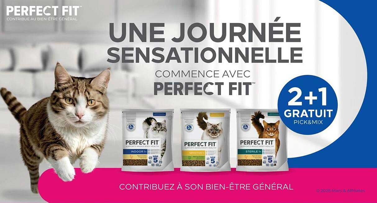 UNE JOURNÉE SENSATIONNELLE COMMENCE AVEC PERFECT FIT