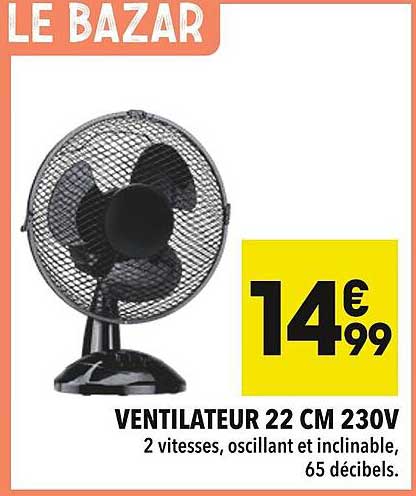 VENTILATEUR 22 CM 230V