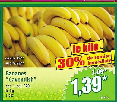 Bananes "Cavendish"