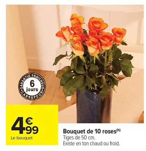 Bouquet de 10 roses(h)