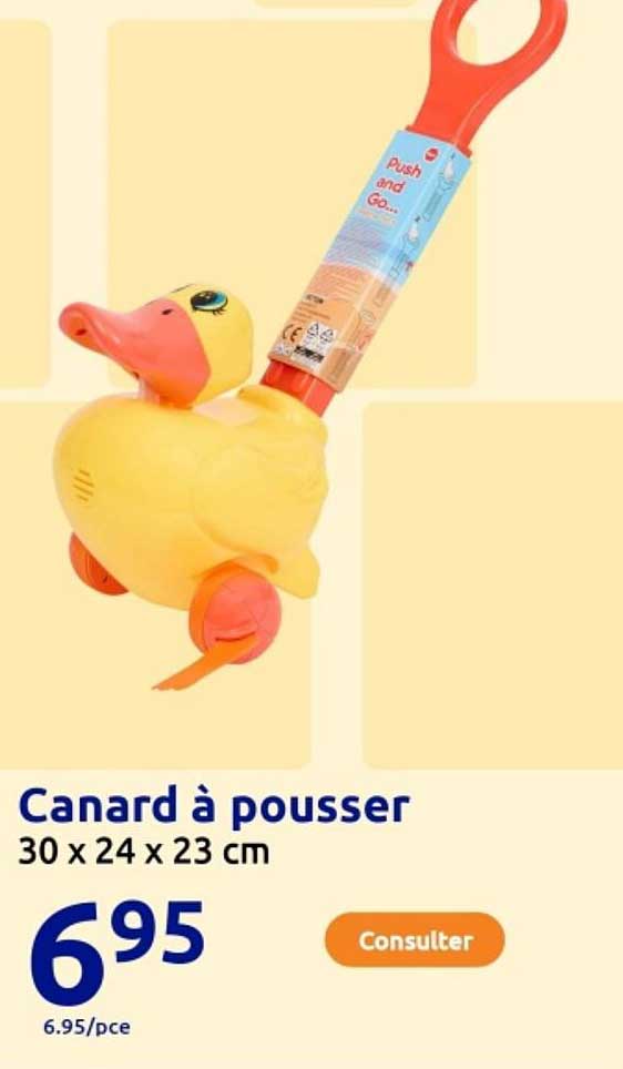 Canard à pousser