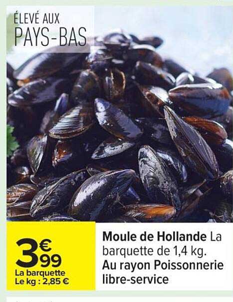 Moule de Hollande La barquette de 1,4 kg.