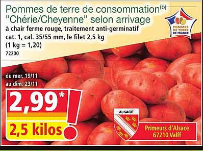 Pommes de terre de consommation "Chérie/Cheyenne" selon arrivage