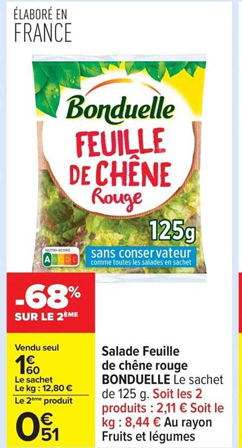 Salade Feuille de chêne rouge