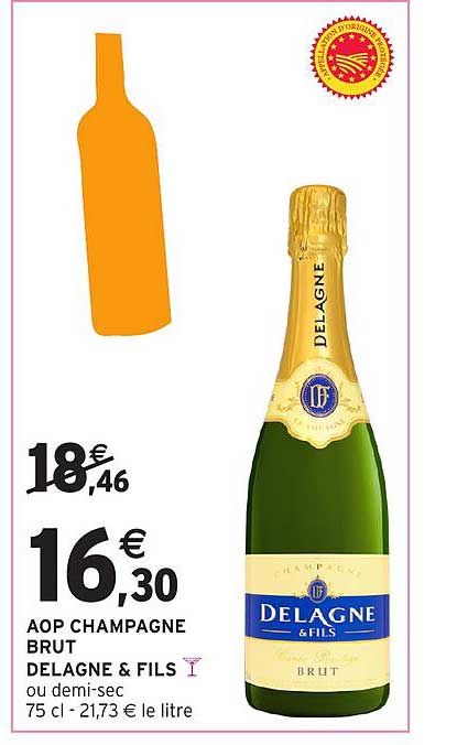 AOP CHAMPAGNE BRUT DELAGNE & FILS