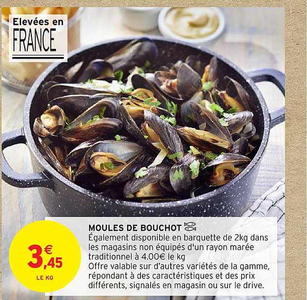 MOULES DE BOUCHOT