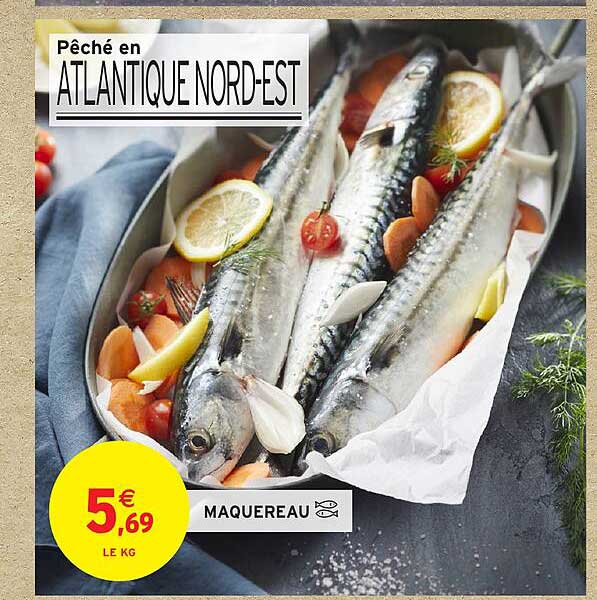 Pêché en ATLANTIQUE NORD-EST