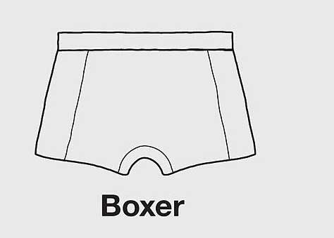 Boxer