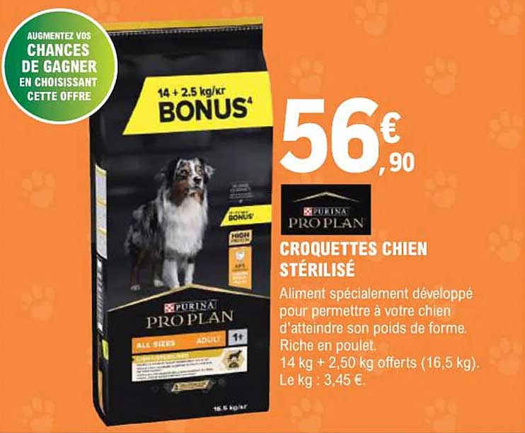 CROQUETTES CHIEN STÉRILISÉ