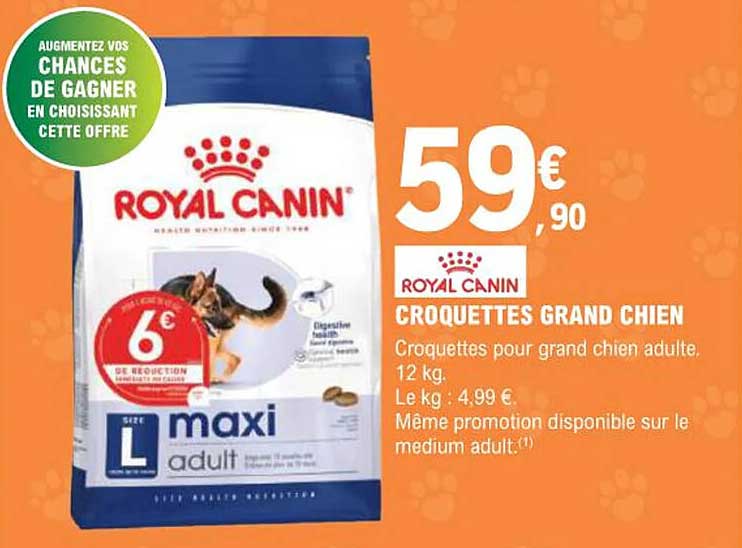 CROQUETTES GRAND CHIEN