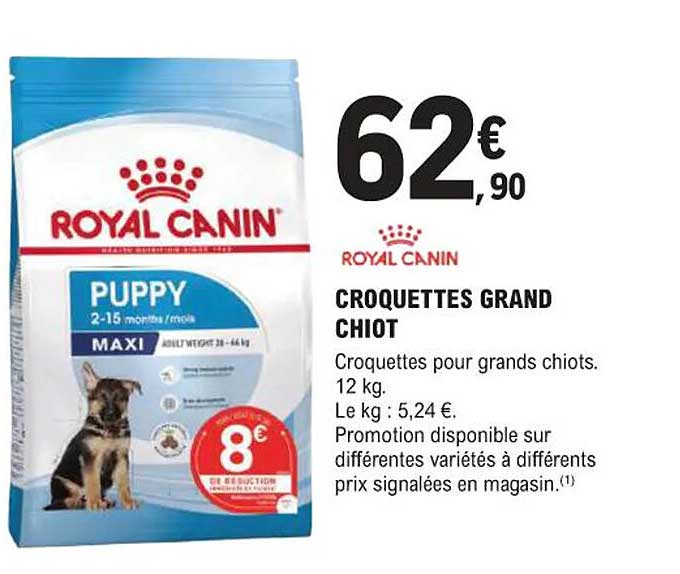 CROQUETTES GRAND CHIOT