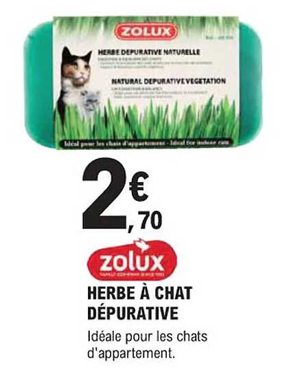 HERBE À CHAT DÉPURATIVE