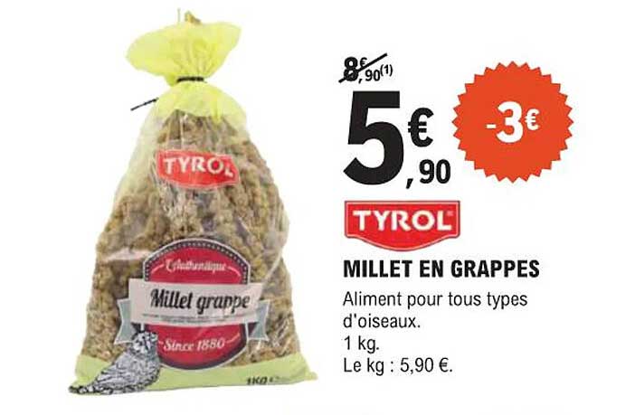 MILLET EN GRAPPES