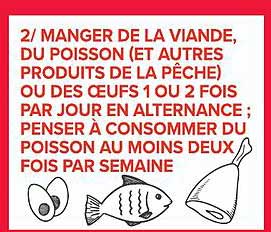 2/ MANGER DE LA VIANDE, DU POISSON (ET AUTRES PRODUITS DE LA PÊCHE) OU DES OEUFS 1 OU 2 FOIS PAR JOUR EN ALTERNANCE ; PENSER À CONSOMMER DU POISSON AU MOINS DEUX FOIS PAR SEMAINE
