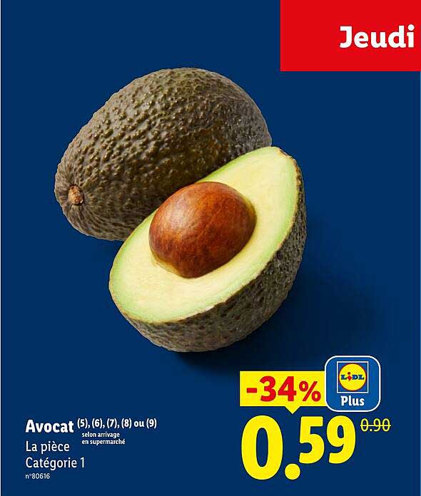 Avocat (5), (6), (7), (8) ou (9)