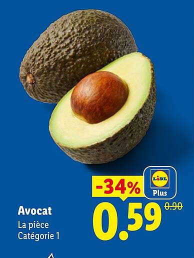 Avocat