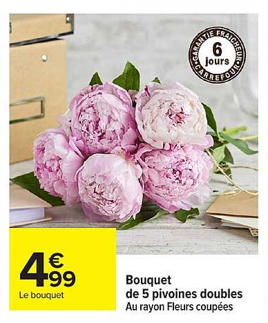Bouquet de 5 pivoines doubles