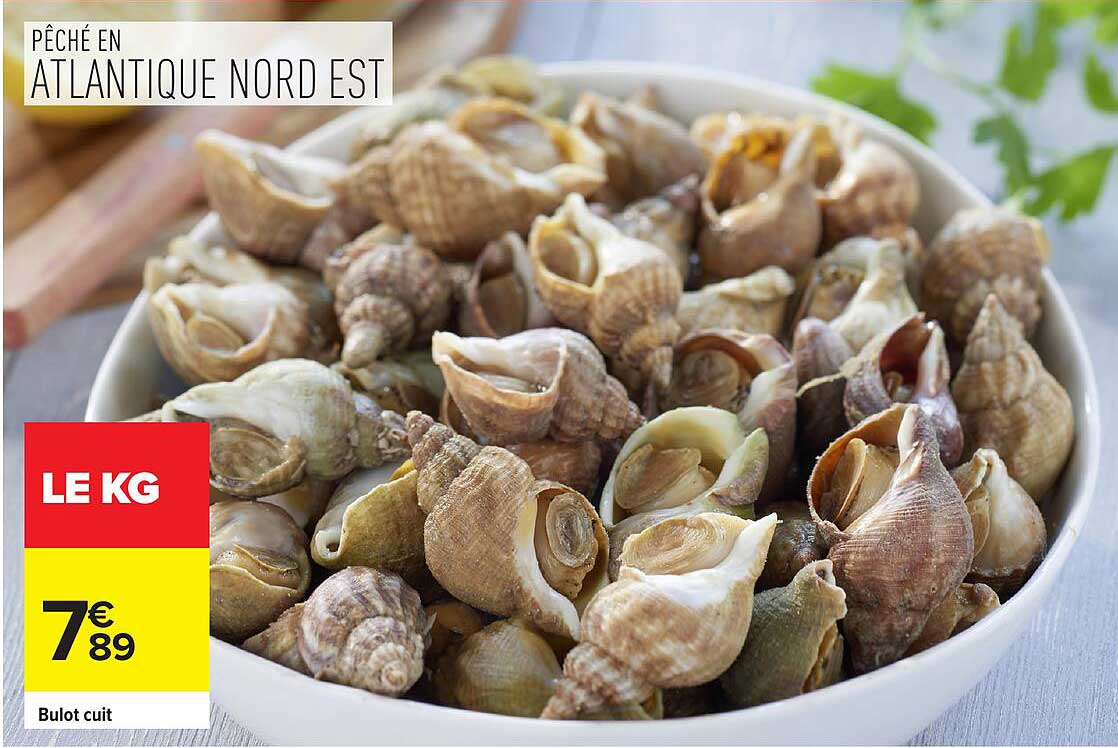 Bulot cuit