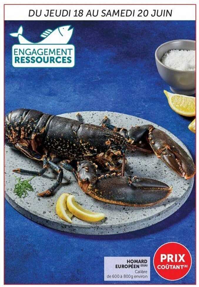 HOMARD EUROPÉEN (2xA) Calibre de 500 à 800 g environ