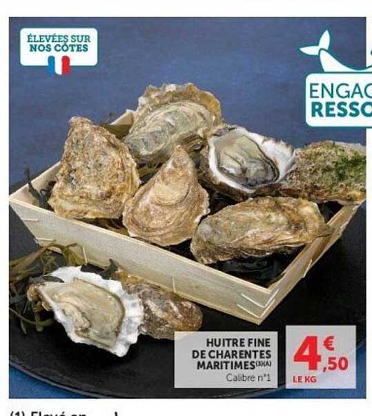HUÎTRE FINE DE CHARENTES MARITIMES (AAA) Calibre n°1