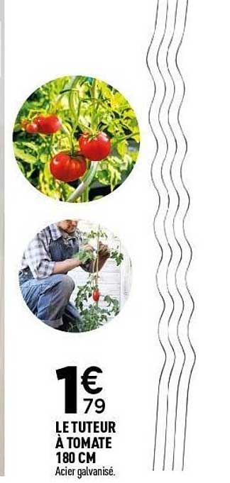 LE TUTEUR À TOMATE 180 CM