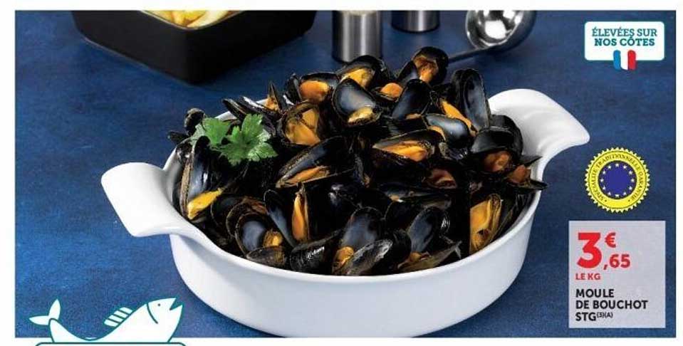 MOULE DE BOUCHOT STG (A)