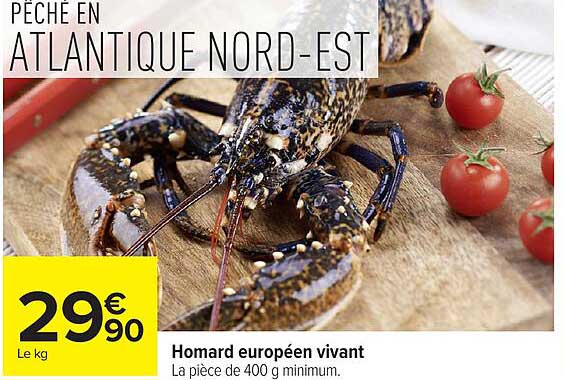 PÊCHE EN ATLANTIQUE NORD-EST