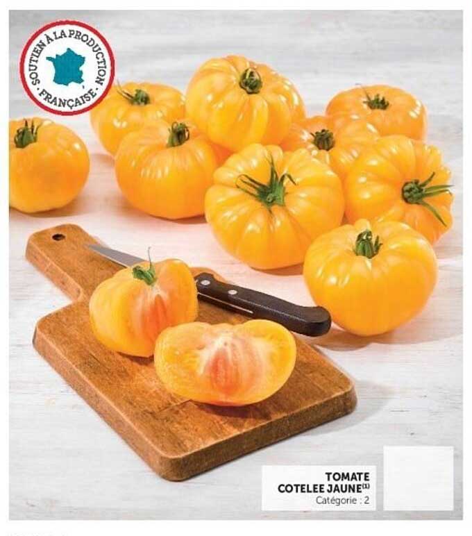 TOMATE COTELEE JAUNE