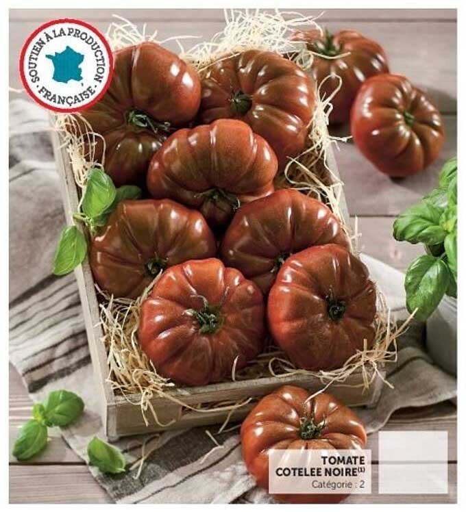 TOMATE COTELEE NOIRE